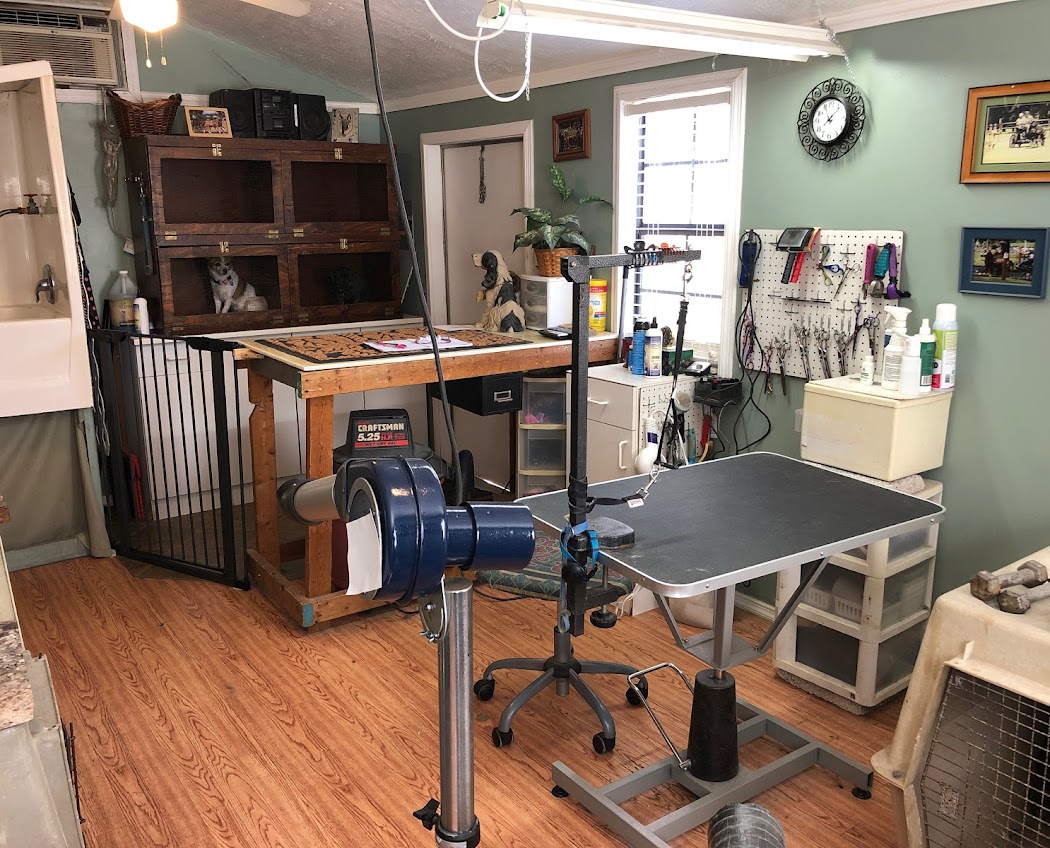 Inside Duffy's Grooming - professional grooming station